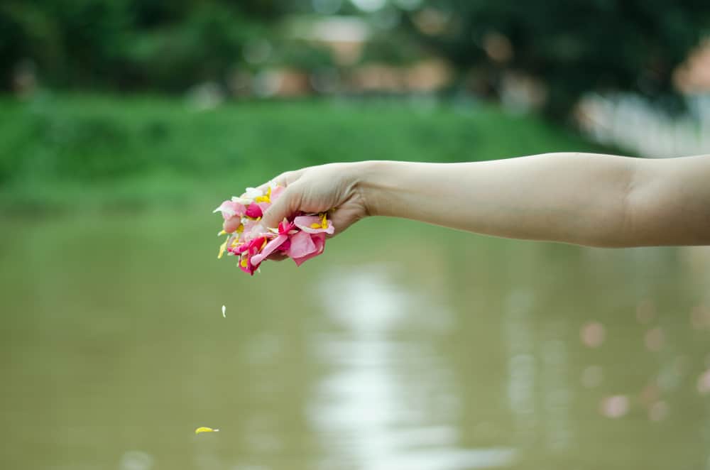 A hand scatters pink petals on a calm river, honoring Sea Burials in Long Island and Queens, NY traditions.