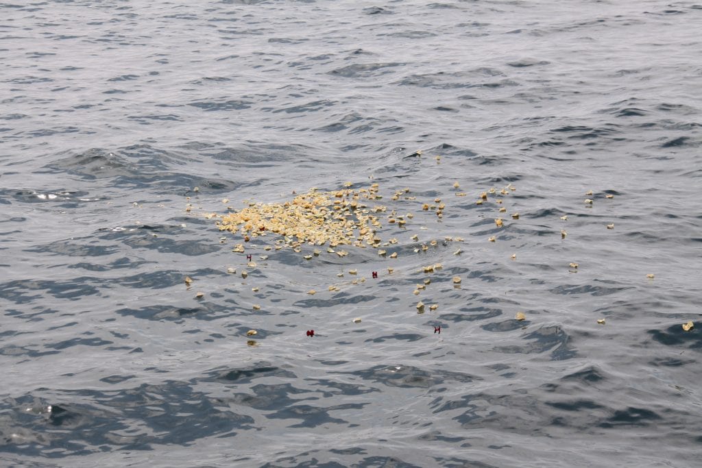 A cluster of flower petals, mainly yellow with a few red ones, floats on the surface of wavy, grey-blue ocean water. The petals are dispersed slightly but remain concentrated in one area, gently moving with the waves—reminiscent of a serene Pet Sea Burial Queens County.