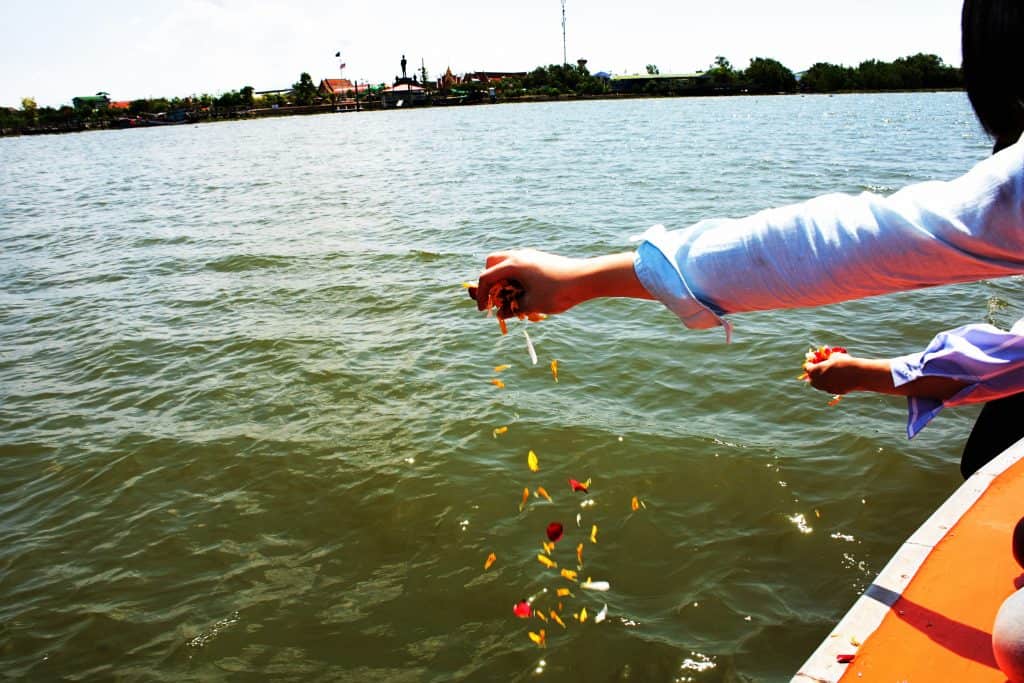 A person in a blue shirt is scattering flower petals over the water from a boat, perhaps partaking in a Burial At Sea Nassau County ceremony. The view includes a shoreline with buildings and trees in the distance under a clear sky.