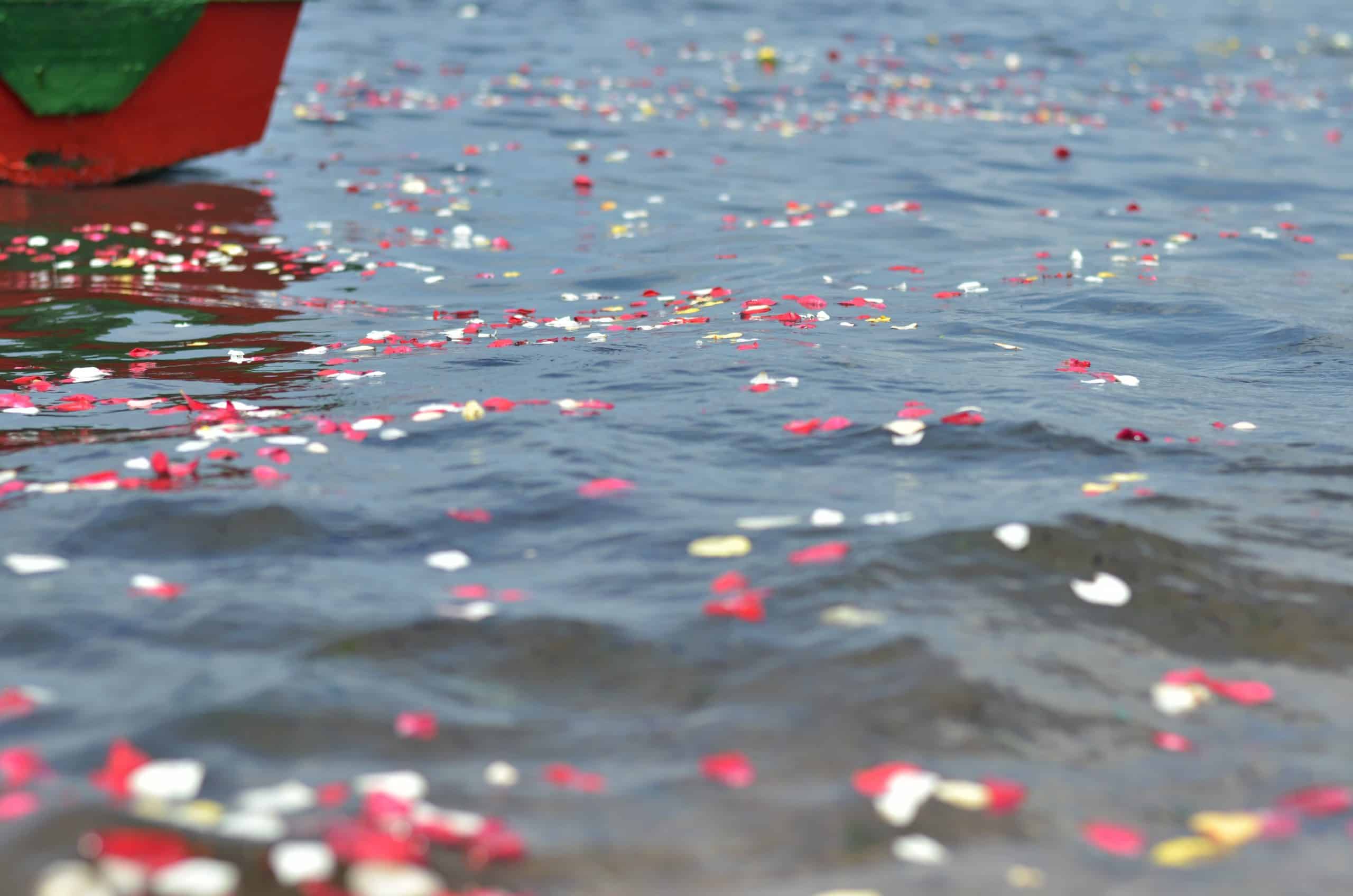 Colorful flower petals floating on the water near the shore, with a small part of a red boat visible in the upper left corner. The petals, in shades of red, white, pink, and yellow, gently drift on the calm waves during an unattended sea burial in Nassau County.