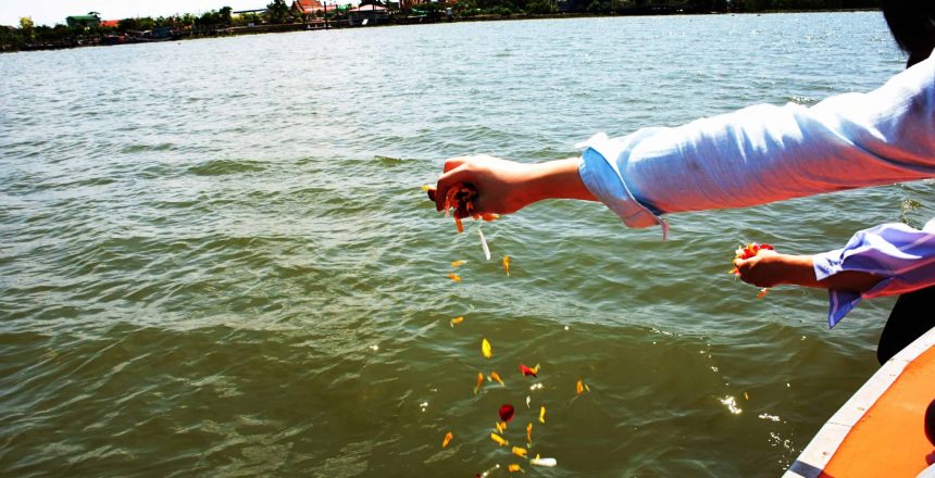 A person in a blue shirt is scattering flower petals over the water from a boat, perhaps partaking in a Burial At Sea Nassau County ceremony. The view includes a shoreline with buildings and trees in the distance under a clear sky.