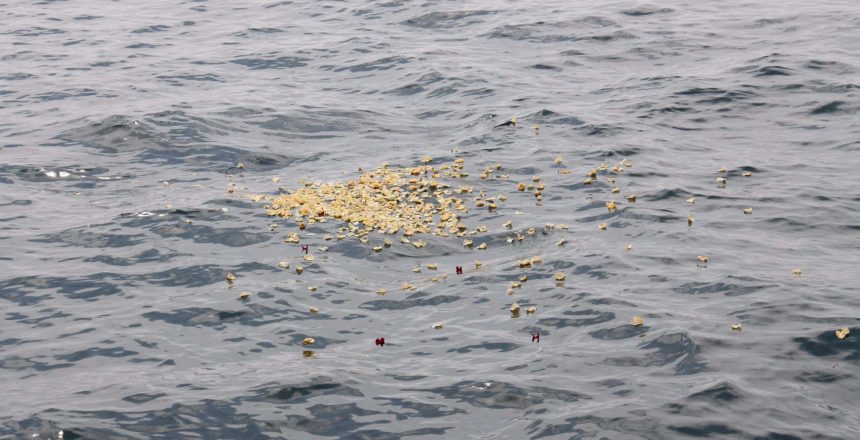 A cluster of flower petals, mainly yellow with a few red ones, floats on the surface of wavy, grey-blue ocean water. The petals are dispersed slightly but remain concentrated in one area, gently moving with the waves—reminiscent of a serene Pet Sea Burial Queens County.